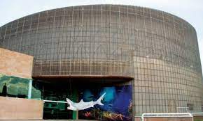 Que Hacer En El Museo De La Semilla Chihuahua