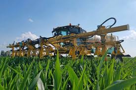 Nebraska Irrigated Seeds Roguing & Detasseling