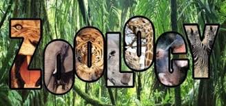 Image result for M.Sc. Zoology admission