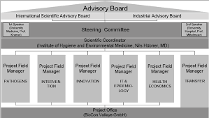 Organization Chart Of The Hicare Network Download