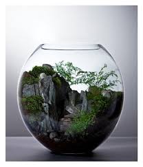 Schist Mountains Terrarium By Bioattic Plocomiglass Beautiful Terrariums Miniature Garden Garden Terrarium