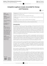 Image result for Habenaria gonatosiphon