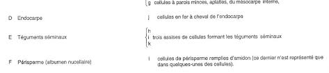 Http Agritrop Cirad Fr 589639 1 Th C3 A8se 2018 M Weil Proc C3 A9d C3 A9s Poivres Sauvages 20 Finale Pdf