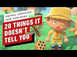 20 Things Animal Crossing New Horizons Doesn T Tell You Youtube Animal Crossing Animal Crossing Game Animal Crossing Guide