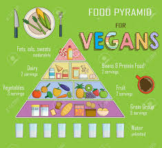 infographic chart illustration of a food pyramid for vegetarian