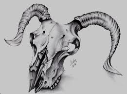 Просмотров 20 тыс.6 лет назад. Animal Skull By Munky69 On Deviantart