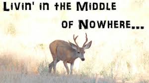 Follow these steps to become a ranch hand: How To Become A Cowboy Ranch Hand Part 1 The Difference Youtube