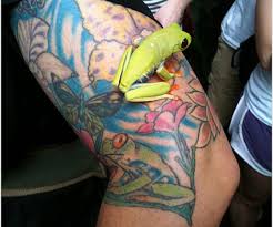 We did not find results for: Frog Tattoos 30 Brilliant Collections Design Press
