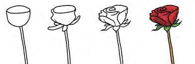 Teknik menggambar flora fauna dan alam benda. Teknik Menggambar Dan Langkah Langkah Menggambar Flora Fauna Dan Alam Benda