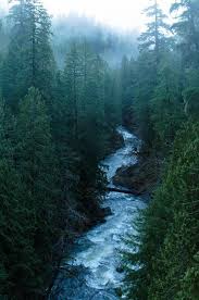 Woods And Water Kinosl Trestle Nature Photography Winter Trees Nature