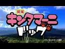 キンタマーニドッグ