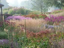 The Millenium Garden Designed By Piet Oudolf Has Swathes Of Herbeaceous Perennials And Ornamental Grasses Pen Prairie Garden Natural Garden Beautiful Gardens