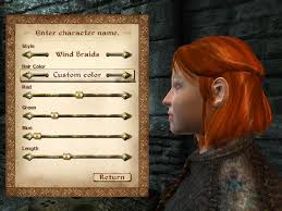 Red Hair Is So Difficult To Make In Oblivion Here S A Shade Close Enough To Red The Elder Scrolls Iv Oblivion The Elder Scrolls Iv Elder Scrolls Red Hair