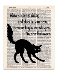 Waterstone Creations Cat Poems Cat Photography Cats