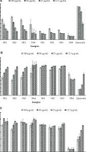 Image result for Newtonia hildebrandtii