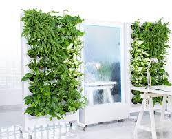 Transparent water wall combined with a tall trellis. Water Walls Mobile Fountain Rental Humidifier Humidifier For Allergy Sufferers Garden Spot Vertical Gardens