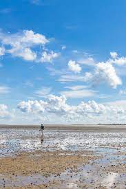 In diesem film stellt euch sylt1 tv die arche wattenmeer im sylter süden genauer vor. Watt Ne Aussicht Wattenmeer Sylt Here Wattwanderung Sylt List Sylt Tipps