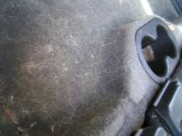 These include sprinkling baking soda or spraying diluted liquid fabric softener on the carpet before using the vacuum, or using a lightly moistened sponge mop. Best Way To Rid Your Car Of Dog Hair Clublexus Lexus Forum Discussion