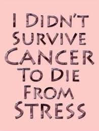 Pin On Breast Cancer Awareness News