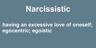 Narcissistic In A Sentence 42 Real Example Sentences