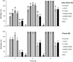 In certain situations a pest can be more than just a pest. Susceptibility Of Different Developmental Stages Of Large Pine Weevil Hylobius Abietis Coleoptera Curculionidae To Entomopathogenic Fungi And Effect Of Fungal Infection To Adult Weevils By Formulation And Application Methods Sciencedirect