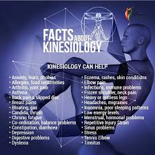 Everything In Pattern Think Move Teach And Diagnose Kinesiology Muscle Testing Reflexology Chart