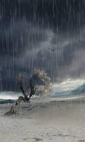 2 what is the most effective revision to make in sentence 5? Pin By Spark Dragon On Tolko Samoe Interesnoe Rain Photography Rain Gif Rain Art