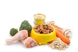 Healthy pet foods is the nz distributor for several ranges of premium pet food. Dog Food And Treat Stock Image Image Of Background 139478037