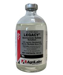 Image result for Gentamicin