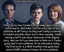 I Know That There Are No Plot Holes However I Still Think That It Was Written As A Fanfiction Rath Harry Potter Universal Harry Potter Love Harry Potter Facts