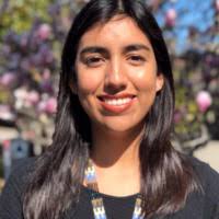 40+ "Arballo" profiles