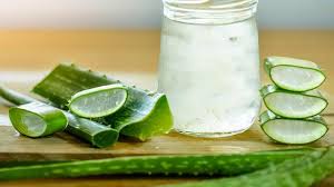Aloe vera gel can soothe sunburns, fight acne, relieve irritation, moisturize dry patches, and help your skin in general, according to dermatologists. 9 Manfaat Aloe Vera Gel Untuk Wajah Bisa Mengatasi Jerawat Hot Liputan6 Com
