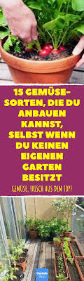 15 Gemusesorten Die Sich Auf Dem Balkon Anbauen Lassen Gemuse Anpflanzen Garten Pflanzen