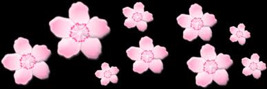 Bunga aesthetic png collections download alot of images for bunga aesthetic download free with bunga aesthetic free png stock. Download Pink Flower Aesthetic Png Png Image With No Background Pngkey Com