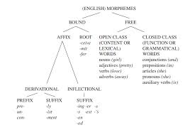 Hasil gambar untuk gambar pembagian morphem"