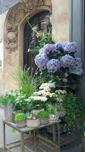 List of all flowers locations and hours. Flower Shop In Paris Plants Container Gardening Planting Flowers