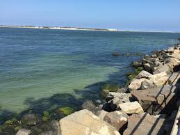 Maybe you would like to learn more about one of these? The 10 Best New Jersey Beach Rentals Vacation Rentals With Photos Tripadvisor Apartments In New Jersey United States