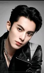 Dylan Wang Hedi