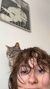 Jess the Worried Whippet