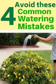 Pin On Flower Gardening For Beginners