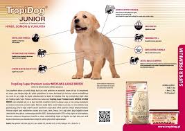 Kedi Ve Kopek Mamalari Tr Pdf Free Download