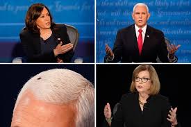 Last night was the vice presidential debate, starring kamala harris, mike pence, and a fly that took up. Kamala Harris Has Perfect Reaction To Mike Pence S Fly Los Angeles Times