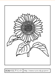 Maybe you would like to learn more about one of these? å¡—ã‚Šçµµã®èŠ± ç„¡æ–™ã§ã‚‚ã‚‰ãˆã¦ã™ãä½¿ãˆã‚‹ ã‚ªã‚¹ã‚¹ãƒ¡ã®100æžšã‚'ç´¹ä»‹ æš®ã‚‰ã—ã®æƒ…å ±å±€