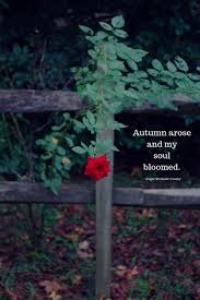 50 Autumn Quotes Fall Quotes And Captions To Enchant And Deepen The Soul Updated For 2020 Autumn Quotes Autumn Quotes Inspirational Rose Quotes