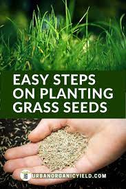 How Long Does Grass Seed Take To Grow Planting Grass Grass Seed Overseeding Lawn