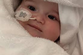 Fundraiser by Ellis McGlynn : HELP US TO SAVE OLLIE'S LIFE!