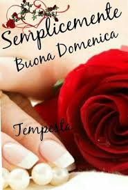 Una selezione speciale con tantissime immagini sempre aggiornate! 45 Buona Domenica Belle Immagini Da Condividere Lebelleimmagini It
