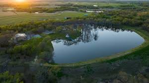 Image result for Pearsonia