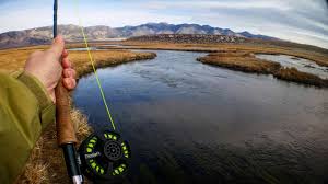 Profile for Jeff Dey