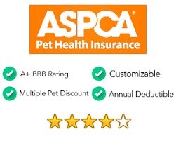 The 180 day preexisting condition. Aspca Pet Insurance